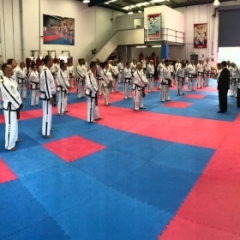 Grandmaster Choi Jung Hwa 10