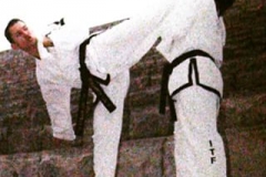 muleta rev turn