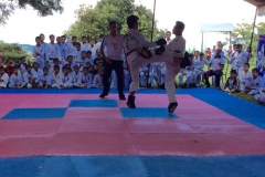 11009955_510244512475016_1627514156258283190_n