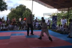 11218899_510244882474979_2102872464799645268_n