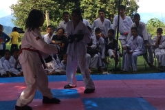 11990482_510244725808328_3427539971165121654_n