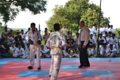 12011163_10153047885020925_2893243735959087324_n