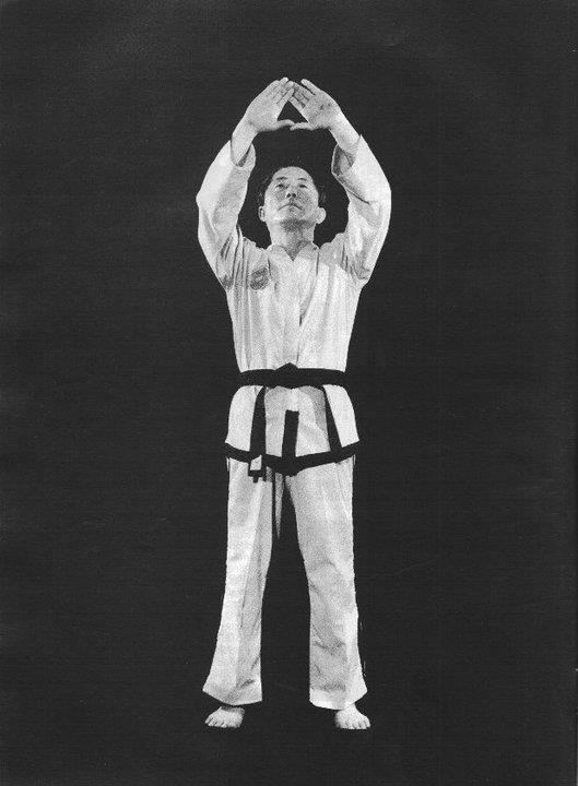 Mission of Taekwon-do